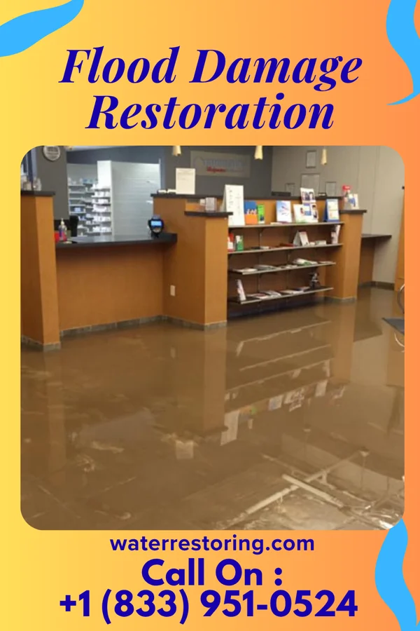 Flood Damage Restoration in Beecher, MI