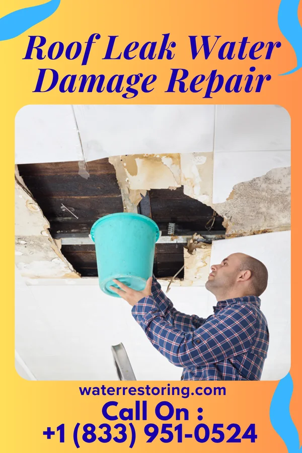 Roof Leak Water Damage Repair in Beecher, MI